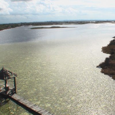 The Kune-Vain-Tale Nature Reserve